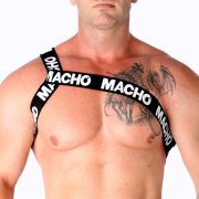 MACHO - ROMAN HARNESS WHITE 