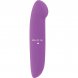Foto 1: VIBRADOR GLOSSY PHIL ROXO