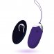 Foto 0: OVO VIBRAT�RIO COM CONTROLO REMOTO INTENSE FLIPPY II COM ROXO