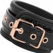 Foto 2: ALGEMAS BEGME PRETO EDITION PREMIUM