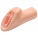 Foto 2: MASTURBADOR EM FORMA DE VAGINA PDX PLUS+ PERFECT PUSSY DREAM STROKER