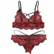 Foto 4: CONJUNTO DE DUAS PE�AS SUBBLIME LACE TOP E CUECAS S/M