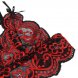 Foto 6: CONJUNTO DE DUAS PE�AS SUBBLIME LACE TOP E CUECAS S/M