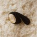 Foto 5: VIBRADOR PARA CASAL LELO IDA WAVE MASSAJADOR PARA CASAIS PRETO