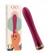 Foto 0: BALA VIBRAT�RIA CICI BEAUTY PREMIUM SILICONE PUSH BULLET
