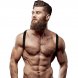 Foto 0: FETISH SUBMISSIVE ATTITUDE - ECO LEATHER BACK STRAP HARNESS MEN