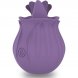 Foto 1: ESTIMULADOR INTENSE - VIOLETA CLITORIS 10 VIBRA��ES LIL�S
