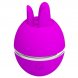Foto 0: ESTIMULADOR COM VIBRA��O PRETTY LOVE - GEMINI BALL ROXO ROUND SILICONE
