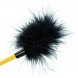 Foto 3: CALIFORNIA EXOTICS - BOUNDLESS FEATHER CROP