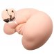 Foto 4: MASTURBADOR CRAZY BULL - ANAL PARA MEN