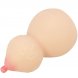 Foto 1: MASTURBADOR CRAZY BULL - CALABASH BREAST-SHAPED MASTUBADOR