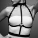 Foto 1: BIJOUX INDISCRETS MAZE - H HARNESS BLACK