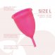 Foto 0: COPO MENSTRUAL INTIMICHIC - MENSTRUAL CUP MEDICAL GRADE SILICONE - TAMANHO L