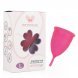 Foto 1: COPO MENSTRUAL INTIMICHIC - MENSTRUAL CUP MEDICAL GRADE SILICONE - TAMANHO L