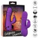 Foto 1: VIBRADOR CALEXOTICS - MANHATTAN BEACH MARVEL RABBIT ROXO BY CALIFORNIA DREAMING