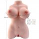 Foto 0: ARMONY - REALISTIC FEMALE TORSO MODEL 3