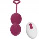 Foto 2: OVO VIBRAT�RIO COM CONTROLO REMOTO ARMONY - BLOSSOMS VAGINAL DUMBBELL VIBRA��O 10 VIBRA��ES DARK VERMELHO