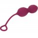 Foto 3: OVO VIBRAT�RIO COM CONTROLO REMOTO ARMONY - BLOSSOMS VAGINAL DUMBBELL VIBRA��O 10 VIBRA��ES DARK VERMELHO