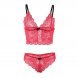 Foto 6: CONJUNTO SUBBLIME - 953898 SILK E LACE NIGHTGOWN + CUECAS VERMELHO S/M