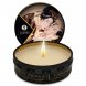 Foto 5: VELA DE MASSAGEM SHUNGA - MINI CARESS BY CANDLELIGHT DISPLAY MASSAGE CANDLES 24 UNIDADES
