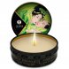 Foto 6: VELA DE MASSAGEM SHUNGA - MINI CARESS BY CANDLELIGHT DISPLAY MASSAGE CANDLES 24 UNIDADES
