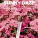 Foto 2: PERFUME EYE OF LOVE - BLOOM FEPARA HOMEM SATIVA PARFUM SUNNY DAZE 30 ML