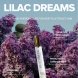 Foto 2: PERFUME EYE OF LOVE - BLOOM FEPARA HOMEM INDICA PARFUM LIL�S DREAM 10 ML