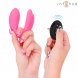 Foto 1: VIBRADOR COM CONTROLO REMOTO INTENSE - JULIA DOUBLE CLAMP STIMULATOR