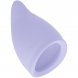 Foto 0: COPO MENSTRUAL FUN FACTORY - FUN MENSTRUAL CUP TAMANHO B ROXO