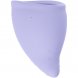 Foto 1: COPO MENSTRUAL FUN FACTORY - FUN MENSTRUAL CUP TAMANHO B ROXO