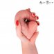 Foto 4: DILDO REALISTICO MR INTENSE - SMALL SPENCER SILICONE 19 CM
