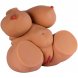 Foto 0: HIDDEN DESIRE - BIG FAT BANGING BABE FEMALE MASTURBATOR TORSO 10 KG
