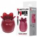 Foto 0: ESTIMULADOR PRETTY LOVE - SECRET GARDEN ROSA MASSAGE HEAD