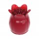 Foto 2: ESTIMULADOR PRETTY LOVE - SECRET GARDEN ROSA MASSAGE HEAD