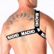 Foto 2: MACHO - ROMAN HARNESS WHITE L/XL