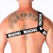 Foto 3: MACHO - ROMAN HARNESS WHITE L/XL