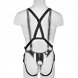 Foto 5: KING COCK - 28 CM HOLLOW STRAP-ON SUSPENDER SYSTEM FLESH