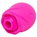 Foto 0: ESTIMULADOR COM SUC��O ROMP - ROSE ROSA-SHAPED CLITORAL SUCTION TOOL