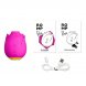 Foto 5: ESTIMULADOR COM SUC��O ROMP - ROSE 2.0 CLITORAL SUCTION TOOL ROSA SHAPE LIMITED EDITION