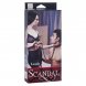 Foto 1: CALEXOTICS - SCANDAL METALLIC HANDLE STRAP
