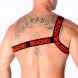 Foto 2: MACHO - ROMAN HARNESS RED L/XL