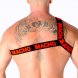 Foto 3: MACHO - ROMAN HARNESS RED L/XL