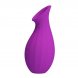Foto 4: ESTIMULADOR COM SUC��O RECARREG�VEL PRETTY LOVE - MAGIC BOTTLE CLITORAL SUCTION ROXO