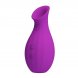Foto 6: ESTIMULADOR COM SUC��O RECARREG�VEL PRETTY LOVE - MAGIC BOTTLE CLITORAL SUCTION ROXO