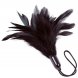 Foto 0: ADRIEN LASTIC - PRESTIGE BLACK DUSTER