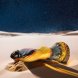 Foto 2: VIBRADOR COM CONTROLO REMOTO EPIC - PHOENIX DILDO THE RESURGENCE OF PLEASURE RECARREG�VEL