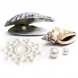 Foto 2: BIJOUX INDISCRETS MIMI PEARL