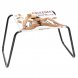 Foto 0: FETISH FANTASY SERIES THE INCREDIBLE SEX STOOL