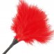 Foto 1: PENAS DARKNESS RED FEATHER 42CM VERMELHO