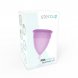 Foto 3: COPO MENSTRUAL STERCUP MENSTRUAL CUP TAMANHO L ROXO COR FDA SILICONE